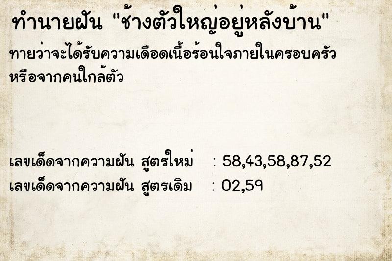 ทำนายฝันช้างตัวใหญ่อยู่หลังบ้าน ทำนายฝันทำนายฝันช้างตัวใหญ่อยู่หลังบ้าน