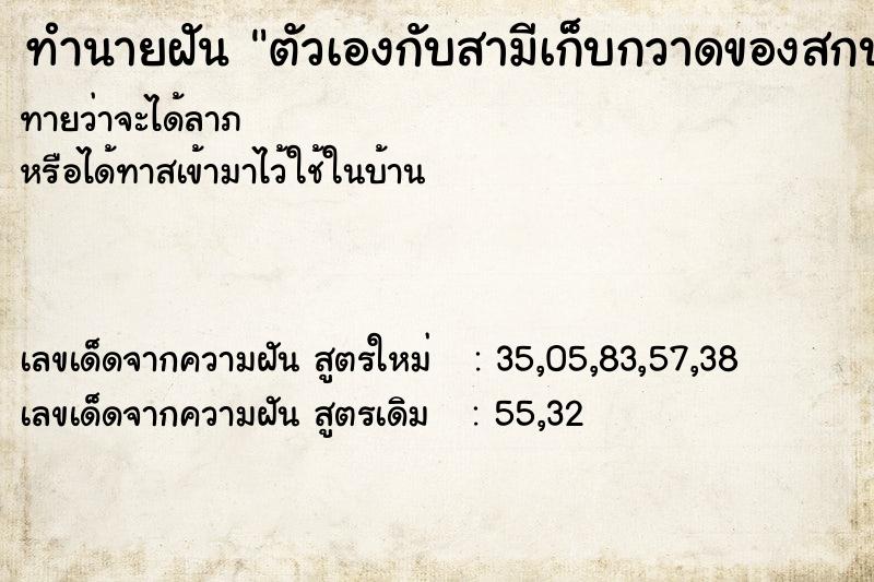 ทำนายฝันทำนายฝันตัวเองกับสามีเก็บกวาดของสกปรก