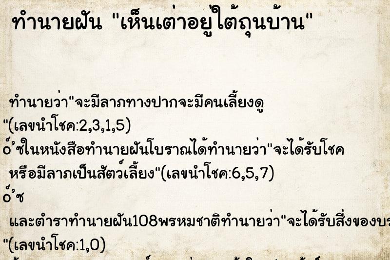 ทำนายฝันเห็นเต่าอยู่ใต้ถุนบ้าน ทำนายฝันทำนายฝันเห็นเต่าอยู่ใต้ถุนบ้าน