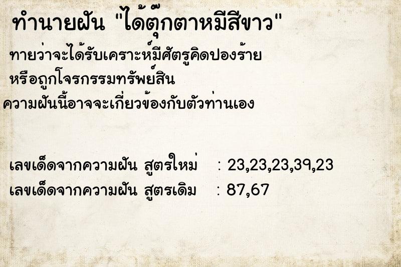 ทำนายฝันทำนายฝันได้ตุ๊กตาหมีสีขาว