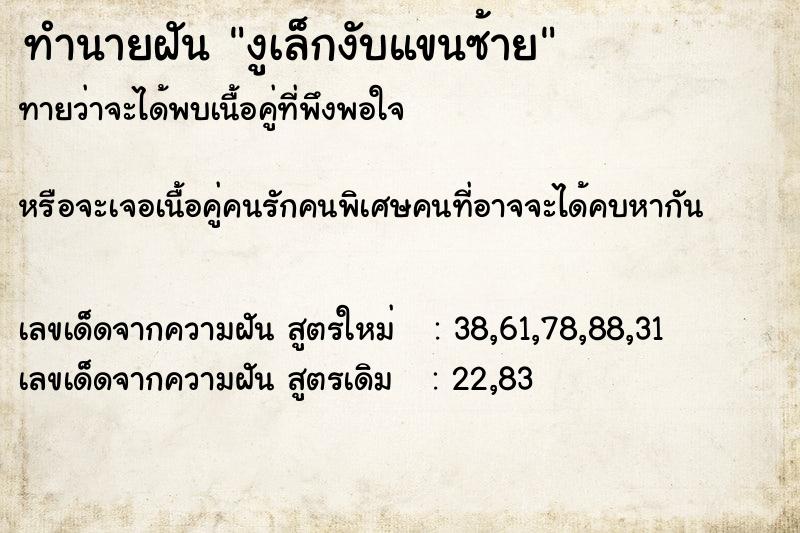 ทำนายฝันงูเล็กงับแขนซ้าย ทำนายฝันทำนายฝันงูเล็กงับแขนซ้าย