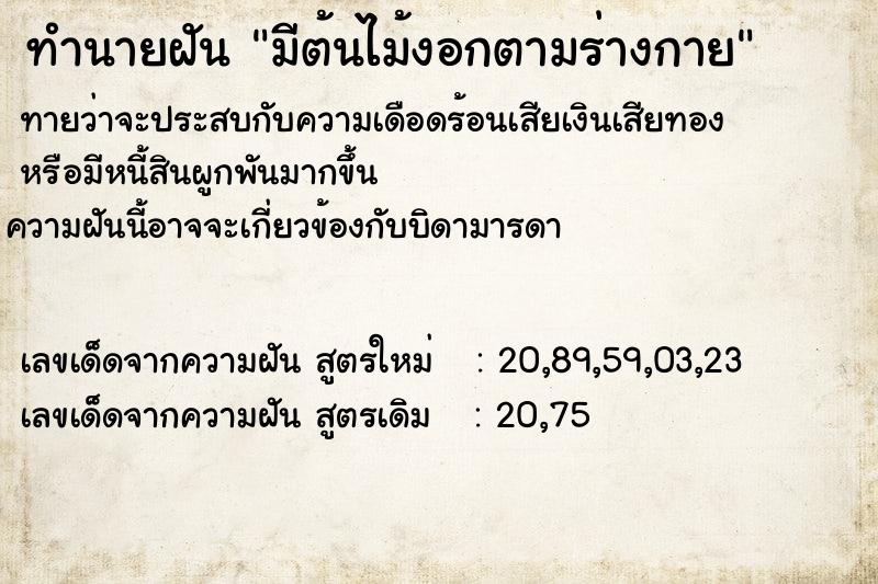 ทำนายฝันทำนายฝันมีต้นไม้งอกตามร่างกาย