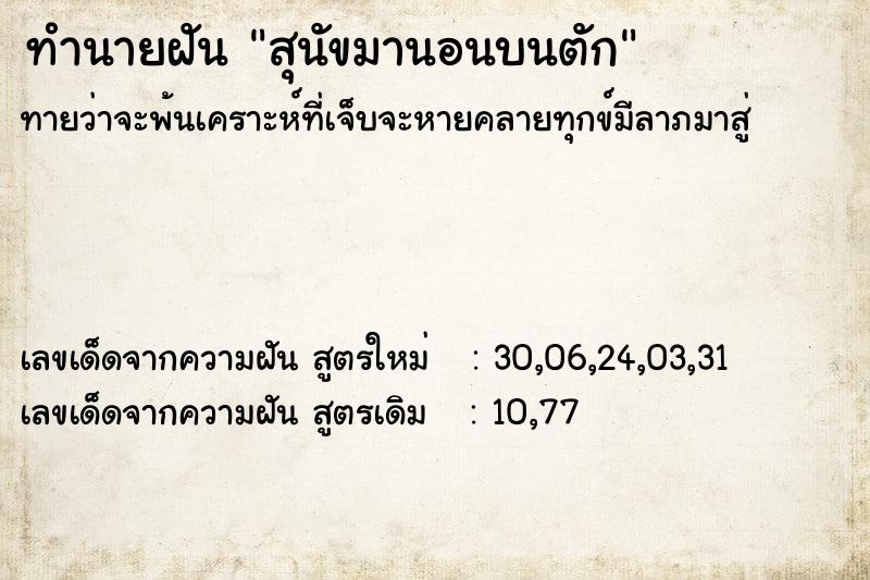 ทำนายฝันสุนัขมานอนบนตัก ทำนายฝันทำนายฝันสุนัขมานอนบนตัก