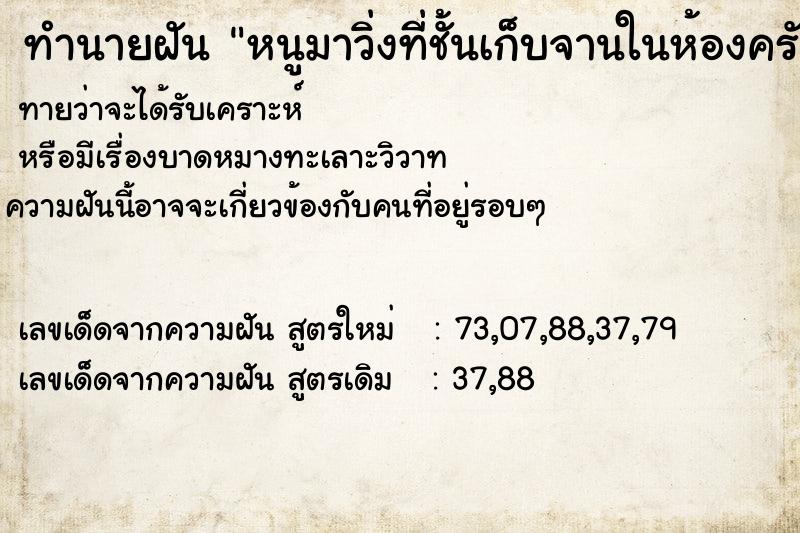 ทำนายฝันหนูมาวิ่งที่ชั้นเก็บจานในห้องครัว ทำนายฝันทำนายฝันหนูมาวิ่งที่ชั้นเก็บจานในห้องครัว