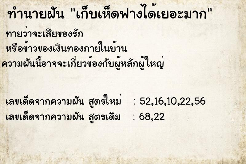 ทำนายฝันเก็บเห็ดฟางได้เยอะมาก ทำนายฝันทำนายฝันเก็บเห็ดฟางได้เยอะมาก