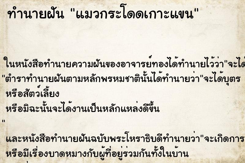 ทำนายฝัน แมวกระโดดเกาะแขน ทำนายฝัน แมวกระโดดเกาะแขน