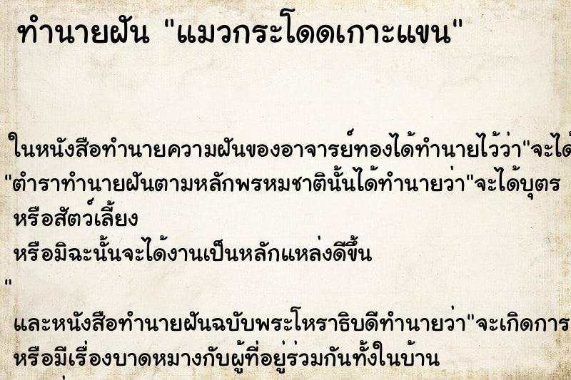 ทำนายฝัน แมวกระโดดเกาะแขน ตำราโบราณ แม่นที่สุดในโลก