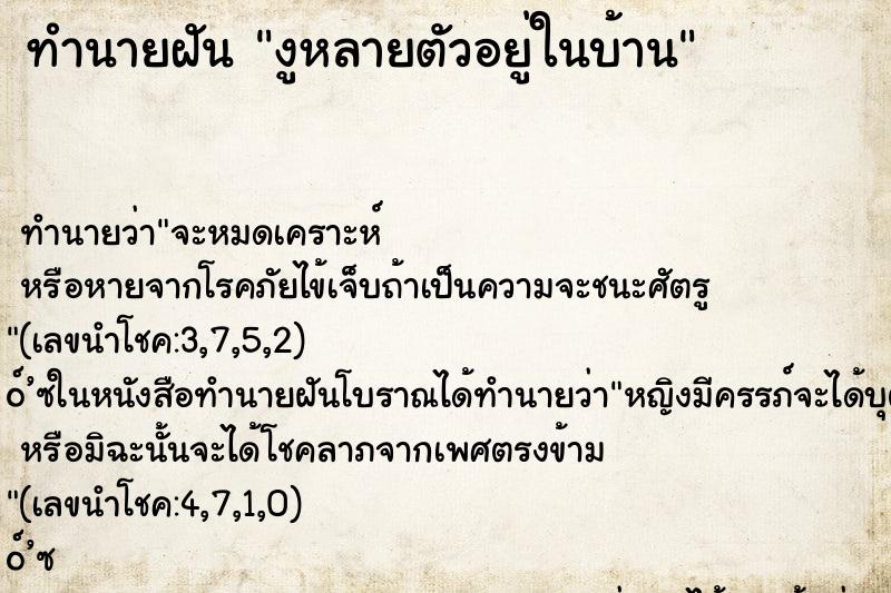 ทำนายฝัน งูหลายตัวอยู่ในบ้าน ทำนายฝัน งูหลายตัวอยู่ในบ้าน