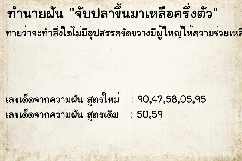 ทำนายฝันจับปลาขึ้นมาเหลือครึ่งตัว ทำนายฝันทำนายฝันจับปลาขึ้นมาเหลือครึ่งตัว