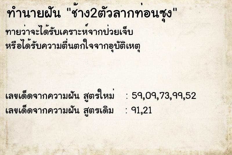 ทำนายฝันทำนายฝันช้าง2ตัวลากท่อนซุง