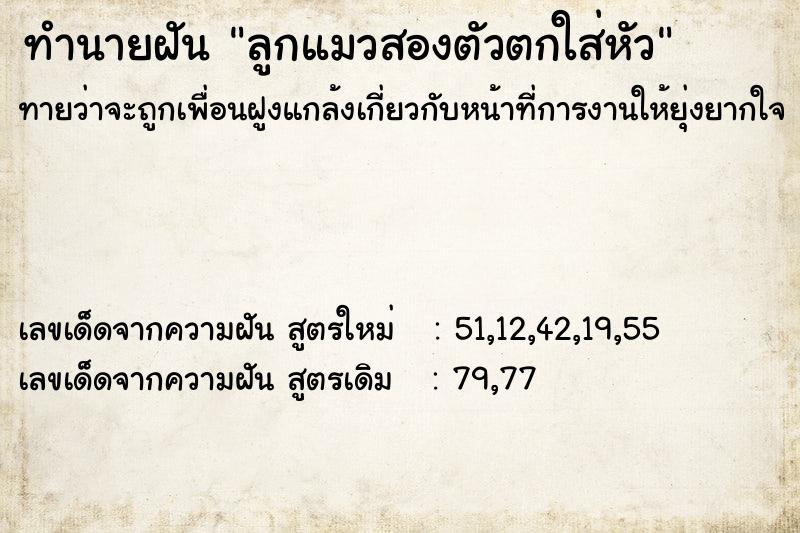 ทำนายฝันลูกแมวสองตัวตกใส่หัว ทำนายฝันทำนายฝันลูกแมวสองตัวตกใส่หัว