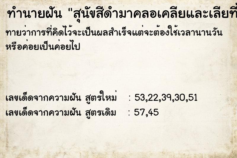 ทำนายฝันทำนายฝันสุนัขสีดำมาคลอเคลียและเลียที่หน้า