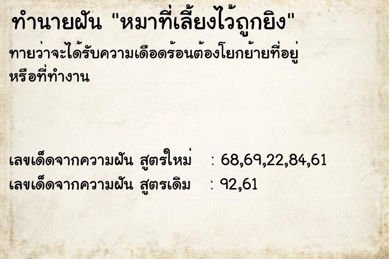 ทำนายฝันทำนายฝันหมาที่เลี้ยงไว้ถูกยิง