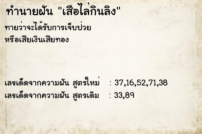 ทำนายฝันเสือไล่กินลิง ทำนายฝันทำนายฝันเสือไล่กินลิง