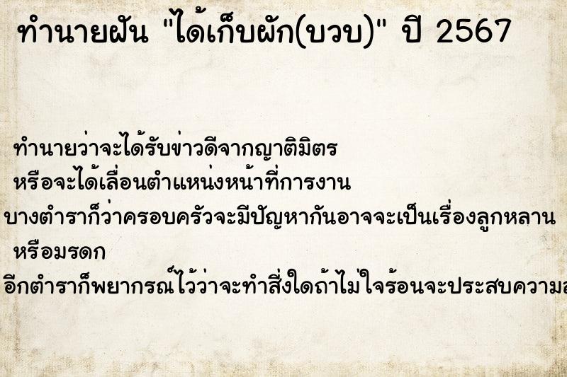 ทำนายฝันทำนายฝันได้เก็บผัก(บวบ)