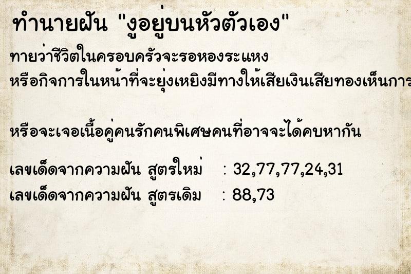 ทำนายฝัน งูอยู่บนหัวตัวเอง