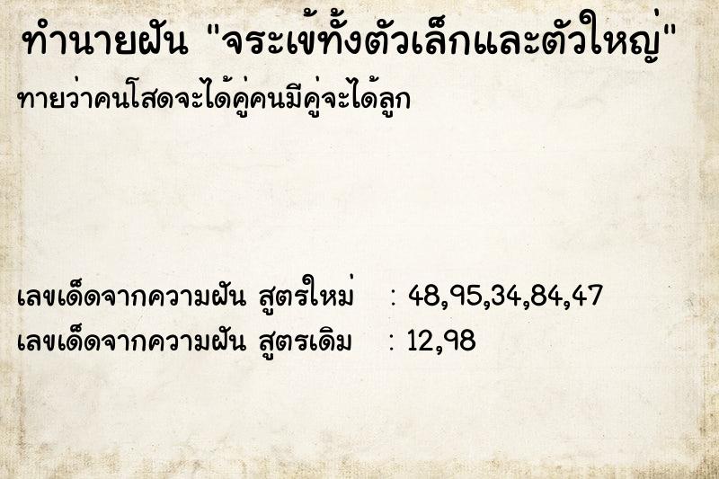 ทำนายฝันจระเข้ทั้งตัวเล็กและตัวใหญ่ ทำนายฝันทำนายฝันจระเข้ทั้งตัวเล็กและตัวใหญ่