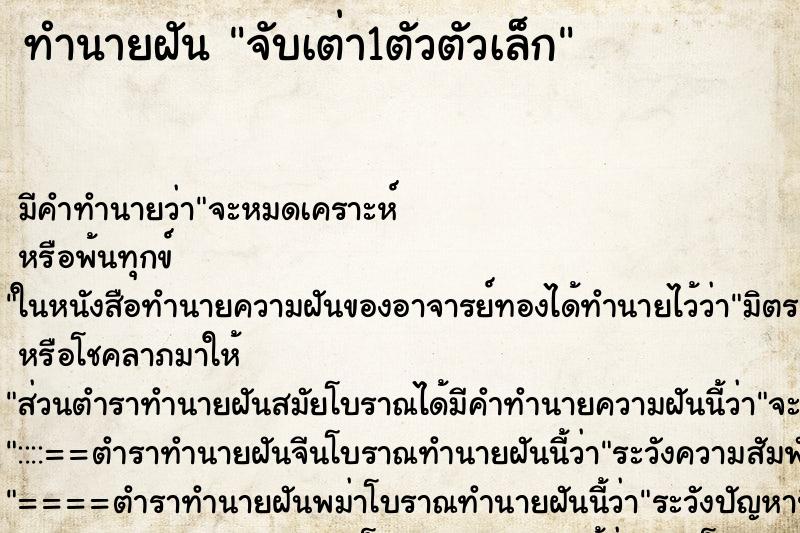 ทำนายฝัน จับเต่า1ตัวตัวเล็ก ตำราโบราณ แม่นที่สุดในโลก