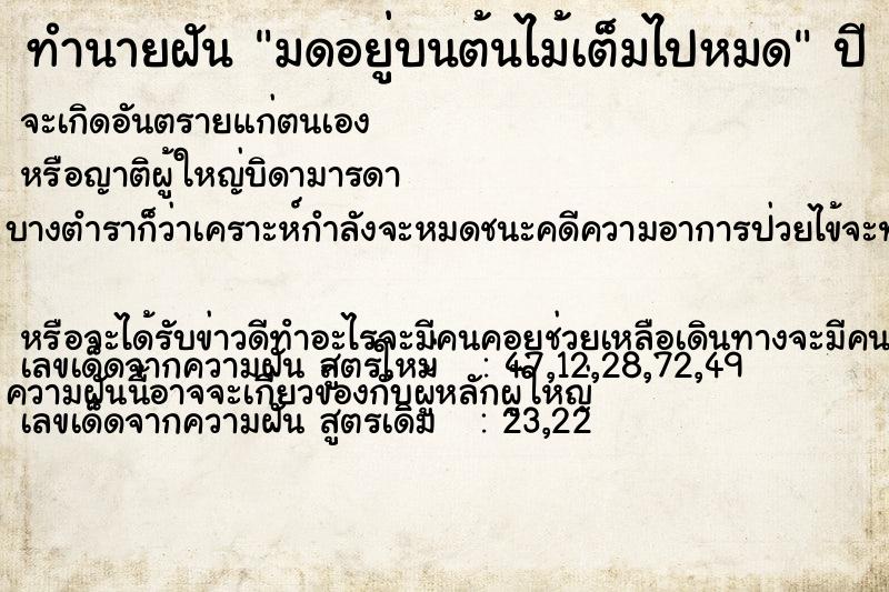 ทำนายฝันทำนายฝันมดอยู่บนต้นไม้เต็มไปหมด