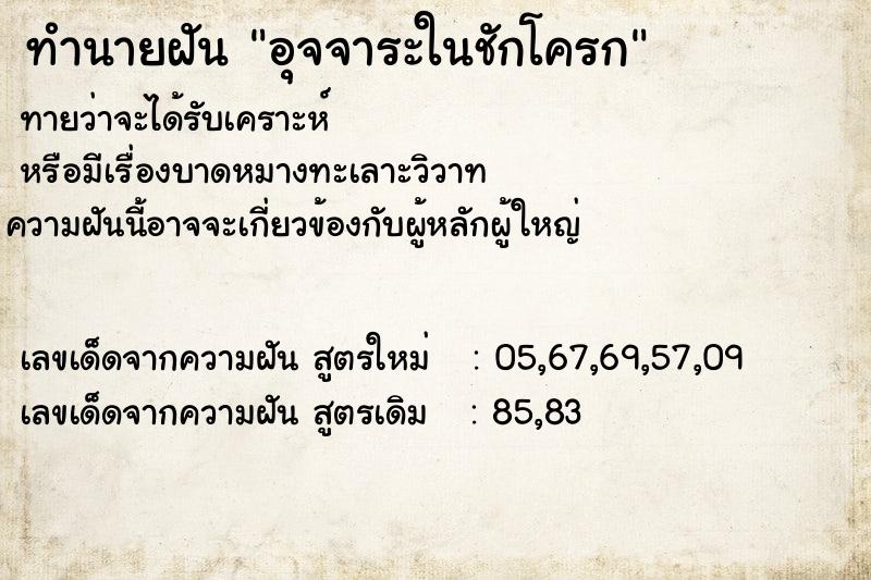 ทำนายฝัน อุจจาระในชักโครก ทำนายฝัน อุจจาระในชักโครก