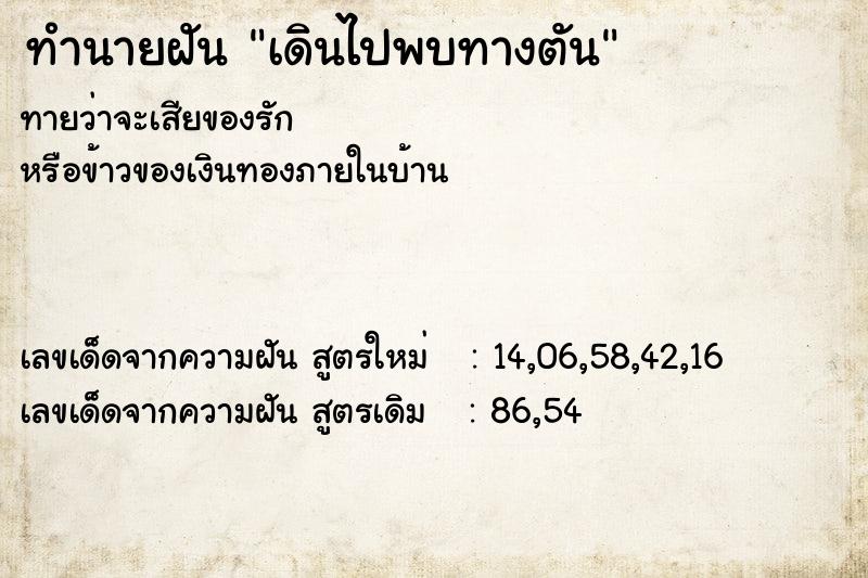 ทำนายฝันเดินไปพบทางตัน ทำนายฝันทำนายฝันเดินไปพบทางตัน