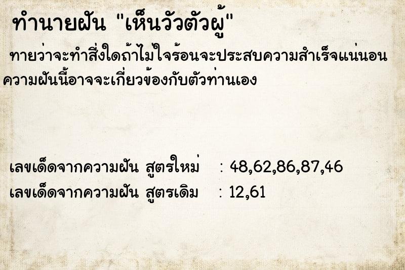 ทำนายฝัน เห็นวัวตัวผู้ ทำนายฝัน เห็นวัวตัวผู้
