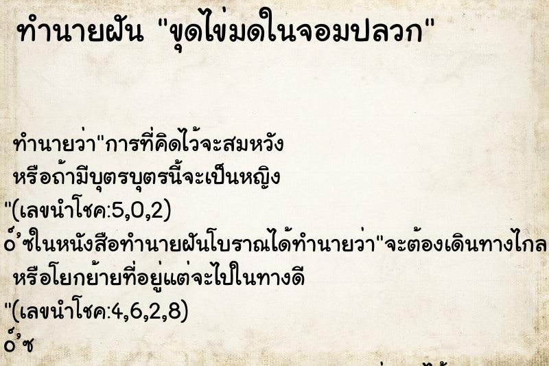 ทำนายฝัน ขุดไข่มดในจอมปลวก