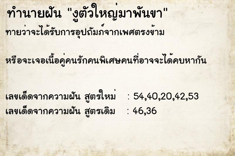 ทำนายฝันงูตัวใหญ่มาพันขา ทำนายฝันทำนายฝันงูตัวใหญ่มาพันขา