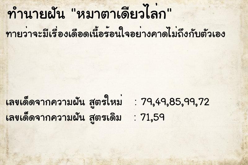 ทำนายฝันทำนายฝันหมาตาเดียวไล่ก