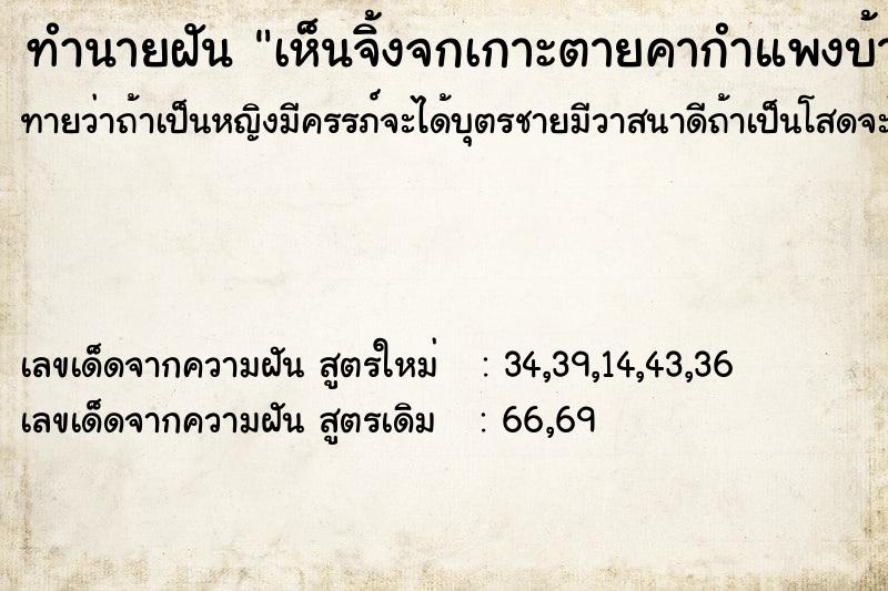 ทำนายฝันทำนายฝันเห็นจิ้งจกเกาะตายคากำแพงบ้าน