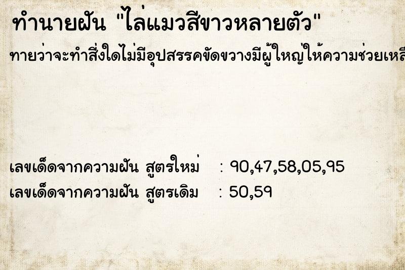 ทำนายฝันทำนายฝันไล่แมวสีขาวหลายตัว