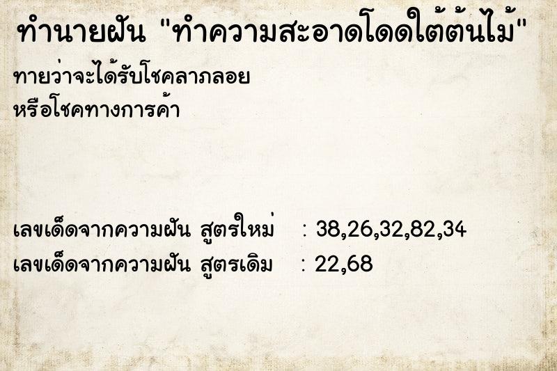 ทำนายฝันทำความสะอาดโดดใต้ต้นไม้ ทำนายฝันทำนายฝันทำความสะอาดโดดใต้ต้นไม้
