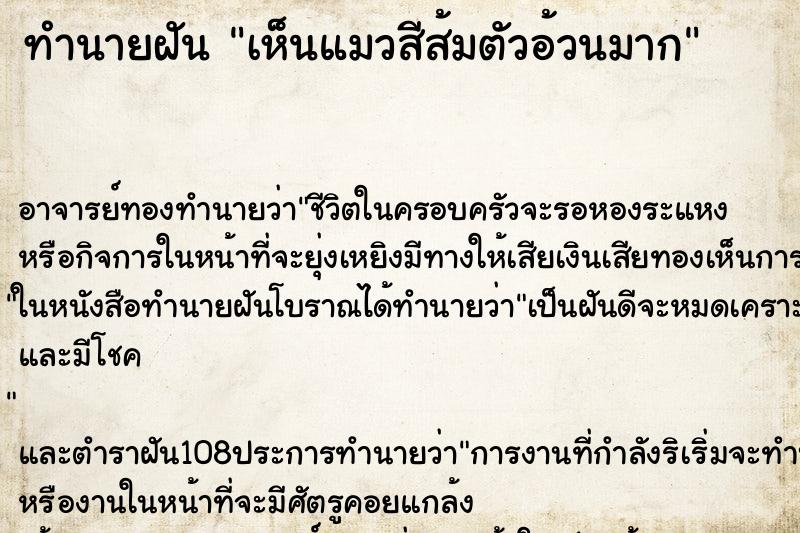 ทำนายฝันทำนายฝันเห็นแมวสีส้มตัวอ้วนมาก