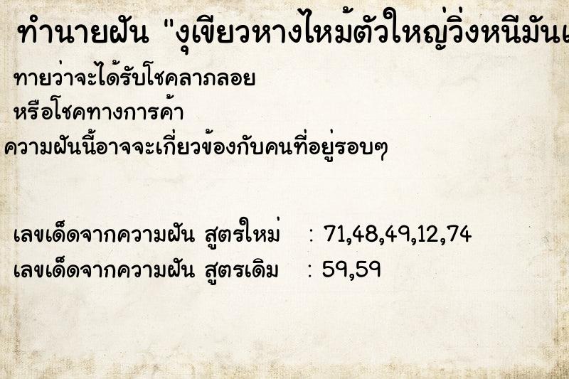 ทำนายฝันทำนายฝันงุเขียวหางไหม้ตัวใหญ่วิ่งหนีมันและแฟนไล่ตี