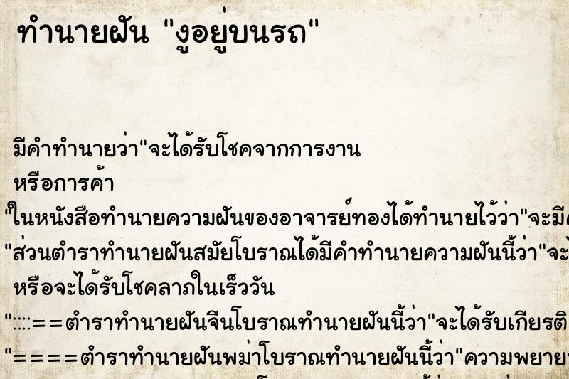 ทำนายฝันงูอยู่บนรถ ทำนายฝันทำนายฝันงูอยู่บนรถ