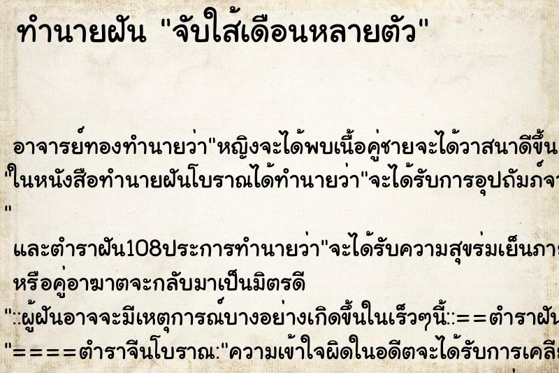 ทำนายฝัน จับใส้เดือนหลายตัว