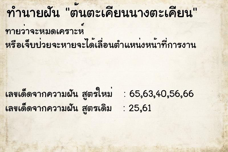 ทำนายฝันต้นตะเคียนนางตะเคียน ทำนายฝันทำนายฝันต้นตะเคียนนางตะเคียน