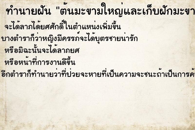 ทำนายฝันทำนายฝันต้นมะขามใหญ่และเก็บฝักมะขามกิน