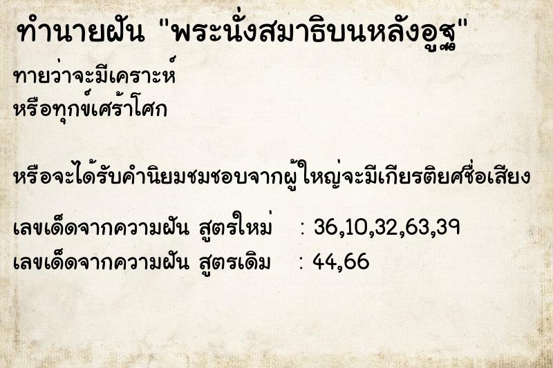 ทำนายฝันทำนายฝันพระนั่งสมาธิบนหลังอูฐ