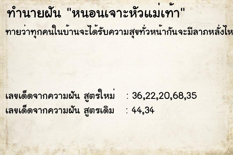 ทำนายฝันหนอนเจาะหัวแม่เท้า ทำนายฝันทำนายฝันหนอนเจาะหัวแม่เท้า