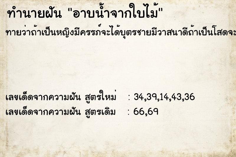 ทำนายฝันทำนายฝันอาบน้ำจากใบไม้