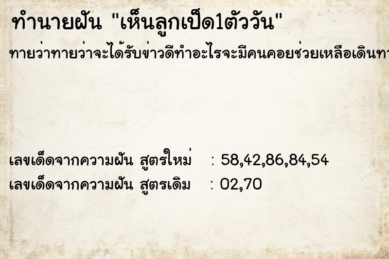 ทำนายฝันทำนายฝันเห็นลูกเป็ด1ตัววัน