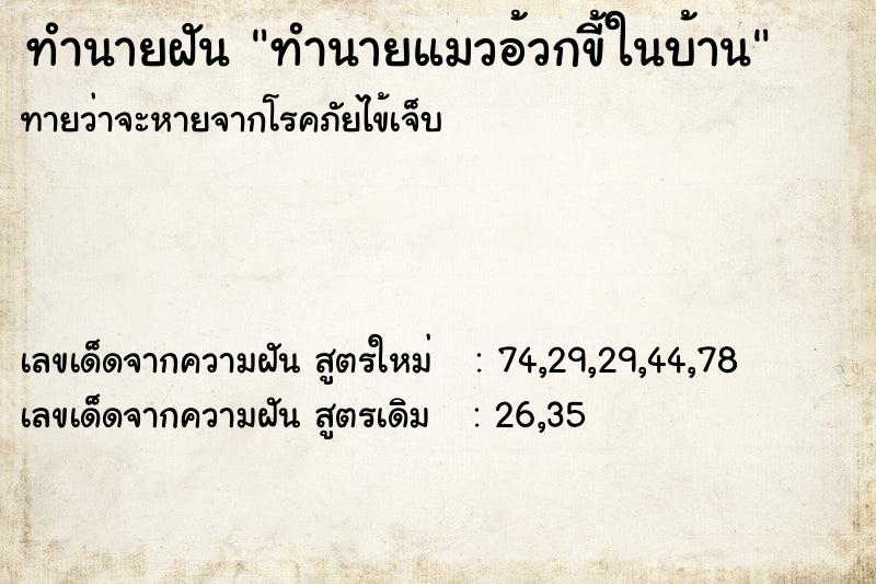 ทำนายฝันทำนายฝันทำนายแมวอ้วกขี้ในบ้าน