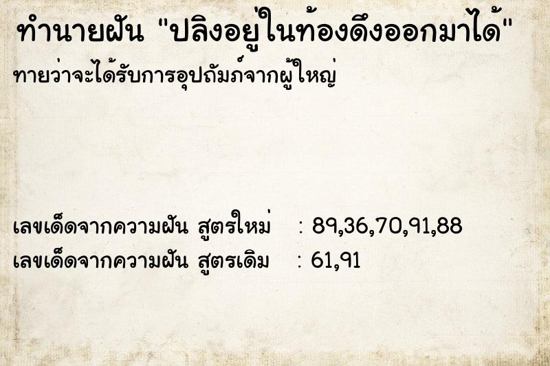 ทำนายฝันปลิงอยู่ในท้องดึงออกมาได้ ทำนายฝันทำนายฝันปลิงอยู่ในท้องดึงออกมาได้