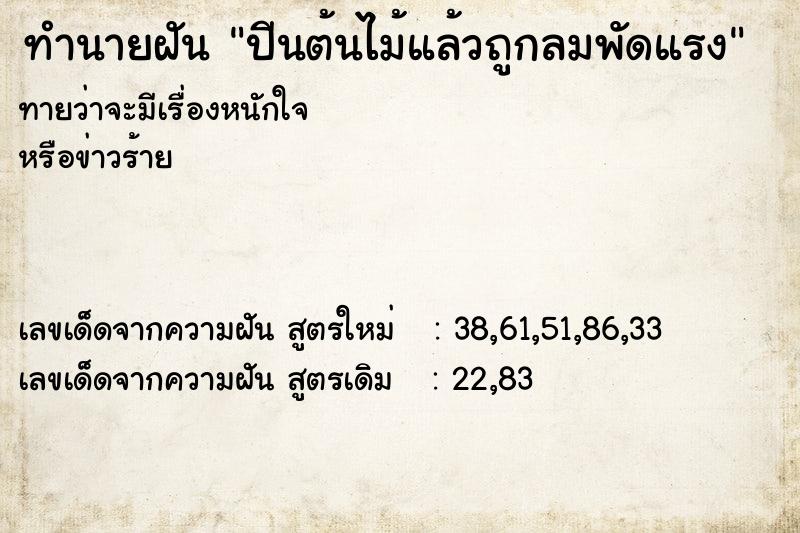 ทำนายฝันปีนต้นไม้แล้วถูกลมพัดแรง ทำนายฝันทำนายฝันปีนต้นไม้แล้วถูกลมพัดแรง