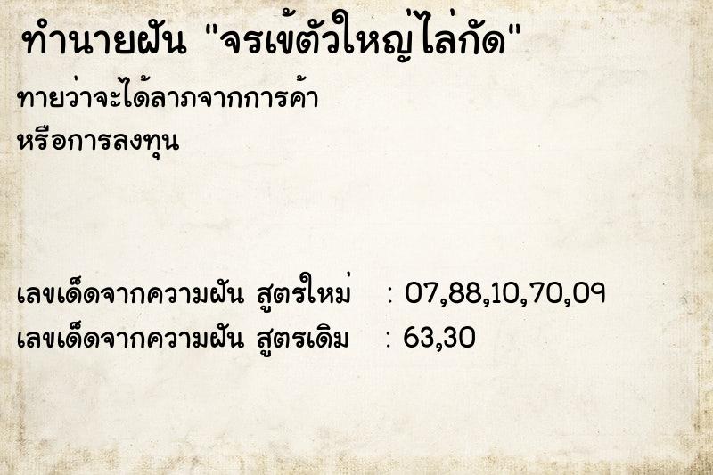 ทำนายฝันทำนายฝันจรเข้ตัวใหญ่ไล่กัด