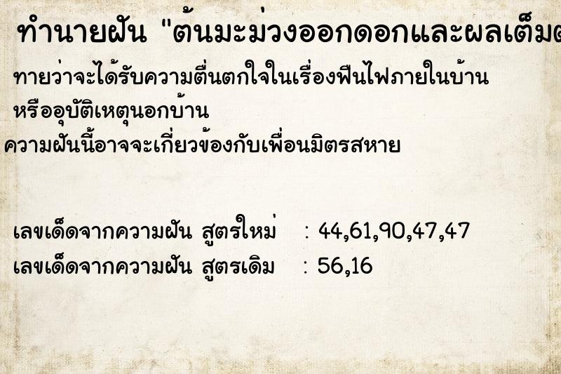 ทำนายฝันต้นมะม่วงออกดอกและผลเต็มต้น ทำนายฝันทำนายฝันต้นมะม่วงออกดอกและผลเต็มต้น