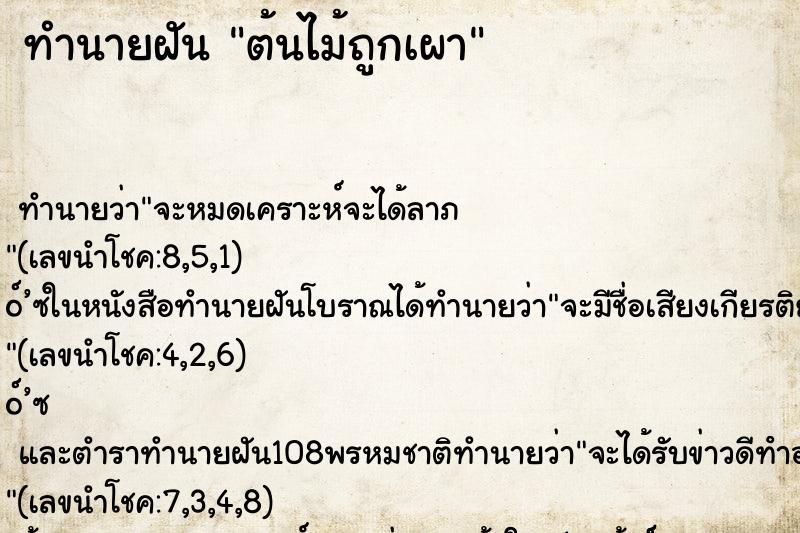 ทำนายฝันต้นไม้ถูกเผา ทำนายฝันทำนายฝันต้นไม้ถูกเผา