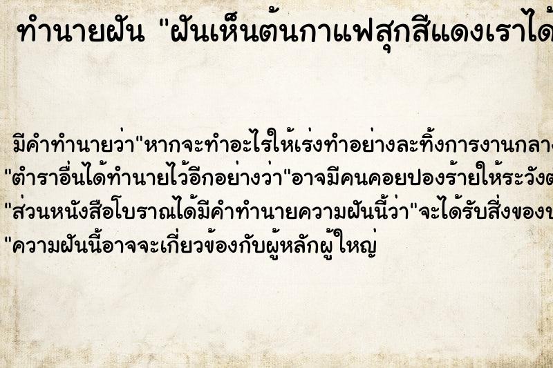 ทำนายฝันทำนายฝันฝันเห็นต้นกาแฟสุกสีแดงเราได้เด็ดกินเล่นหนึ่งเมล็ด