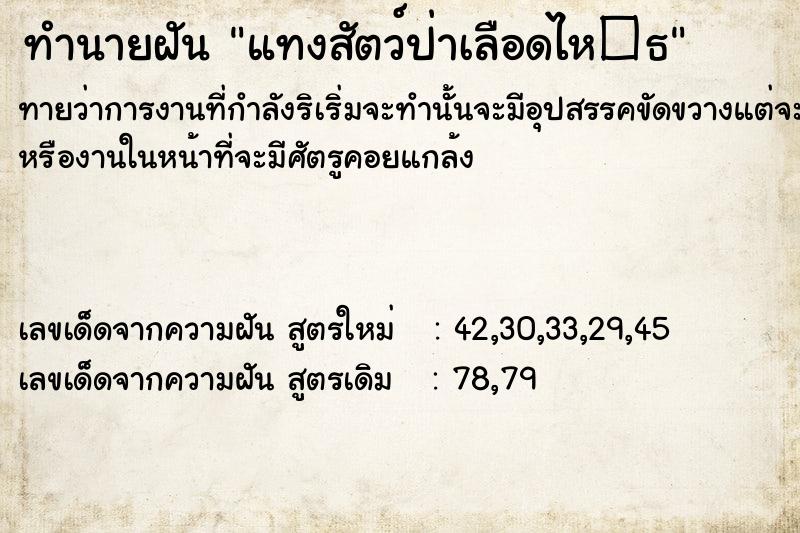 ทำนายฝัน แทงสัตว์ป่าเลือดไห�¸